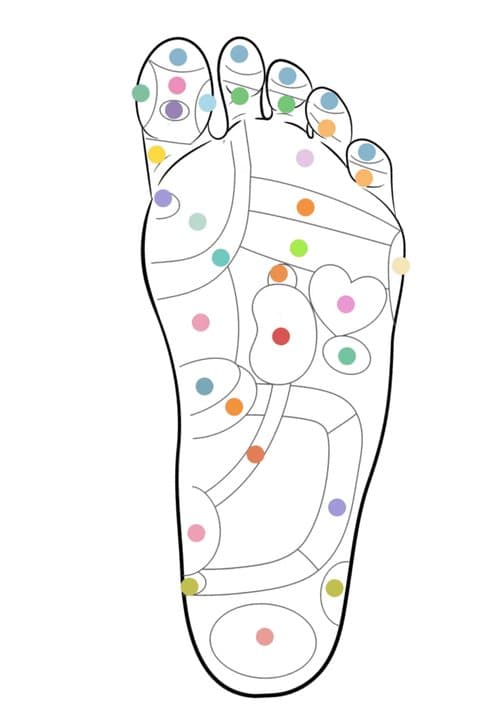 Reflexology foot map with coloured dots that Akusoli links to organs such as the kidney and heart