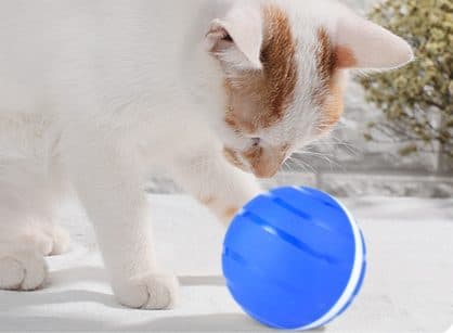 White and ginger cat pawing at a blue CatchMe Z ball with darker blue stripes on a pale rug