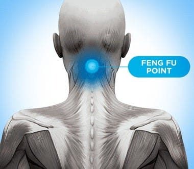 Illustration of the back of a head and neck with the Feng Fu point marked at the base of the skull