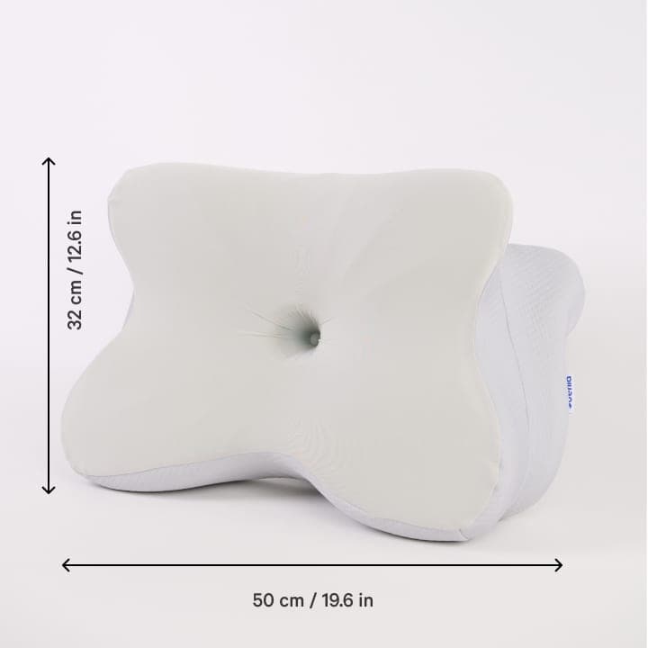 Derila Ergo pillow standing upright with arrows marking 32 cm (12.6 in) high and 50 cm (19.6 in) wide