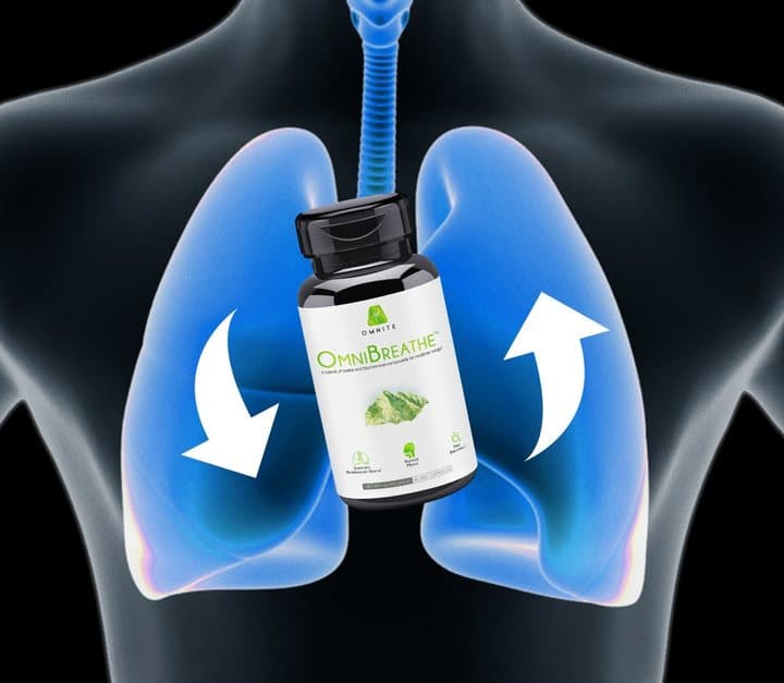 Marketing graphic of an OmniBreathe bottle superimposed on illustrated blue lungs with arrows