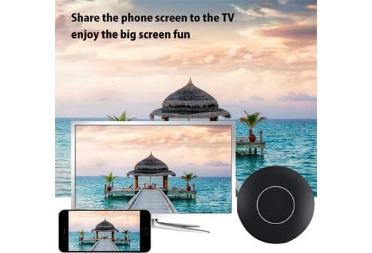 TVShareMax round black dongle in front of a TV and a smartphone both showing a thatched hut over the sea, with the text share the phone screen to the TV, enjoy the big screen fun