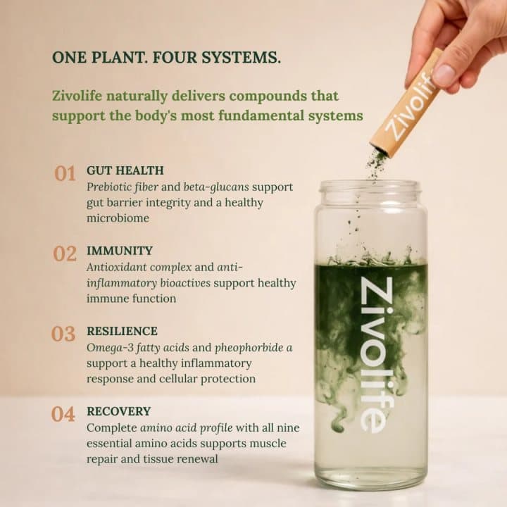 Graphic headed One Plant Four Systems listing gut health, immunity, resilience and recovery claims