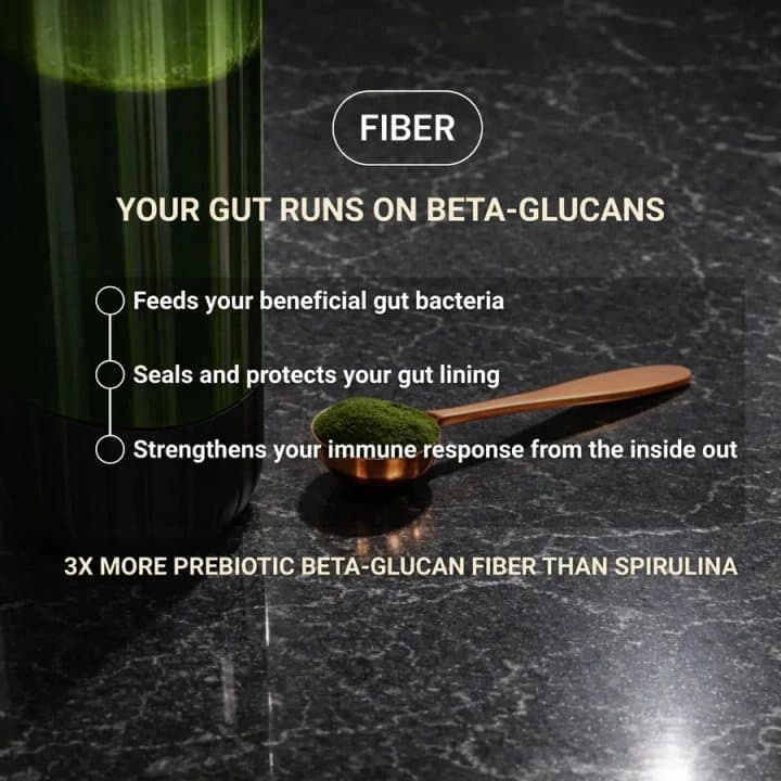 Graphic reading Your gut runs on beta-glucans beside a spoon of green Zivolife powder