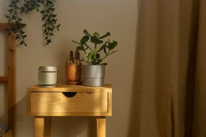 Small beige Aroma Amplifier on a wooden bedside table beside potted plants