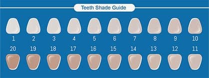Blue printed teeth shade guide with 20 numbered tooth shades from white to darker beige