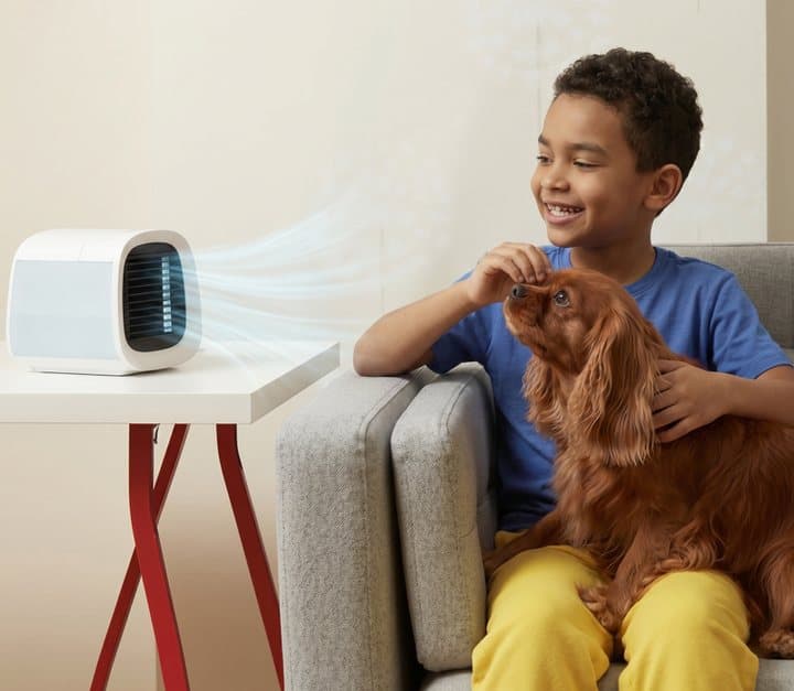 Boy on an armchair with a spaniel next to an evaCHILL cooler blowing air from a side table