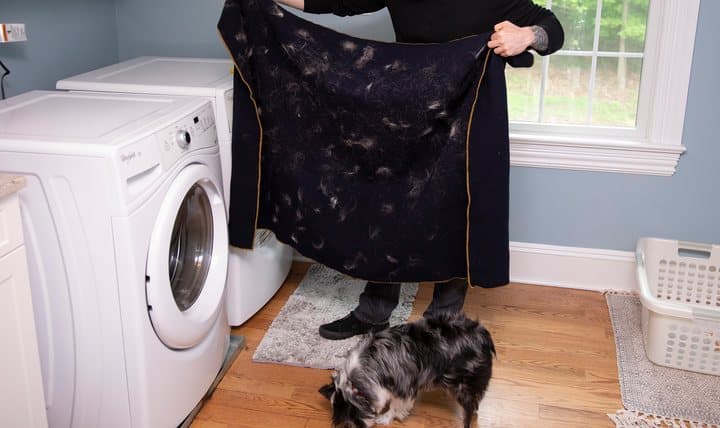 Person holding up a dark blanket covered in pet hair next to a washer, with a dog nearby