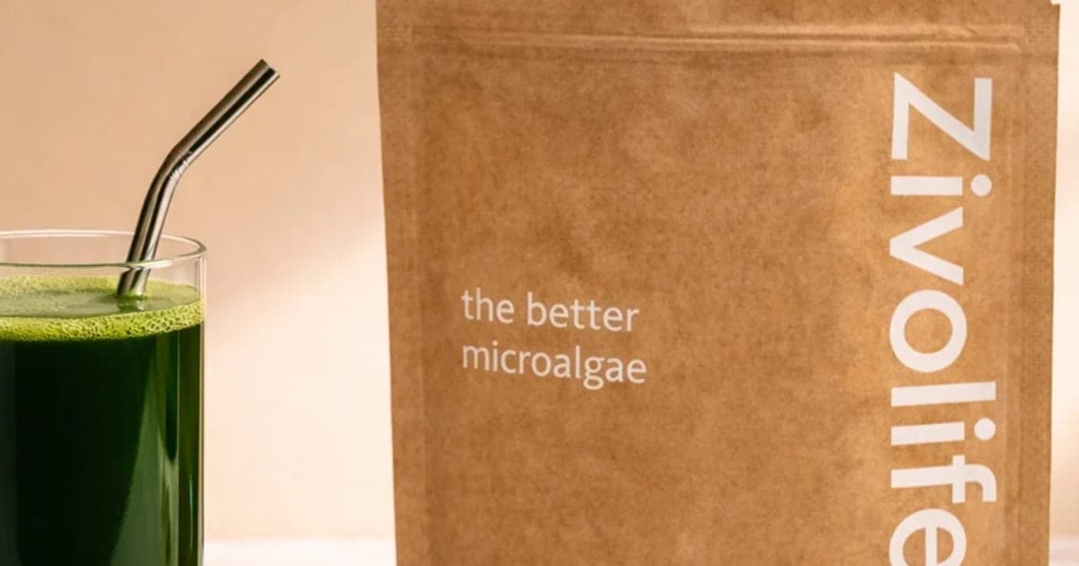 Zivolife kraft pouch of Klebsormidium microalgae beside a glass of green drink and a stick pack
