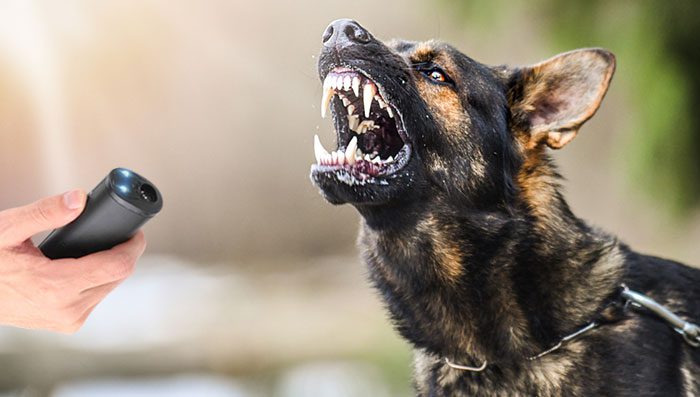 BarXStop Review: Does It Really Work? 7 BARXSTOP SAFE FOR MY PET