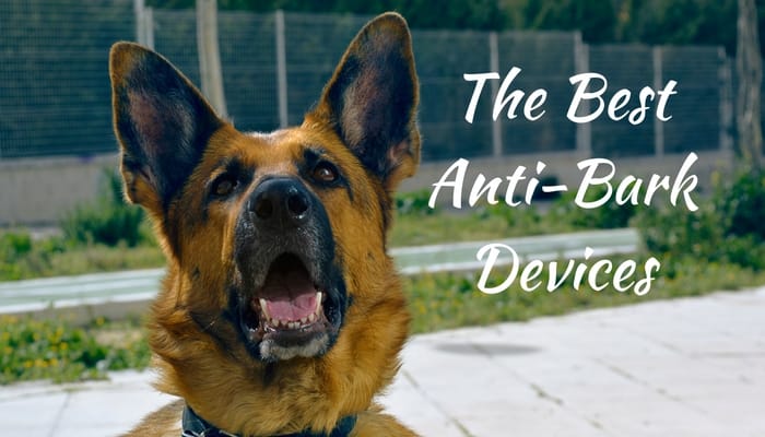 what is the best anti barking device