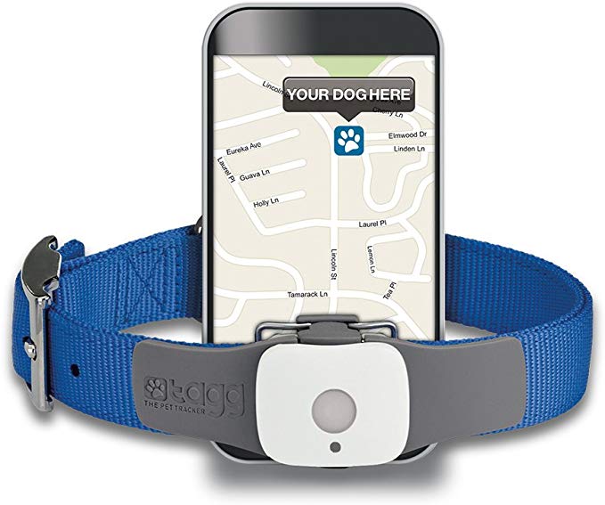 Top 10 Best Dog Tracker Collars 2023 – Review & Buyer's Guide 4 Dog Tracker Collars