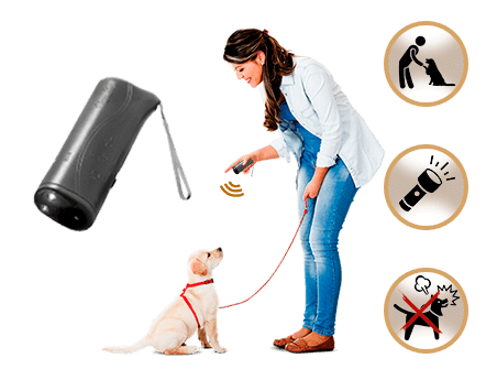 The Top Best Anti Barking Device of 2021 Review & Buying Guide 12 WuffStop