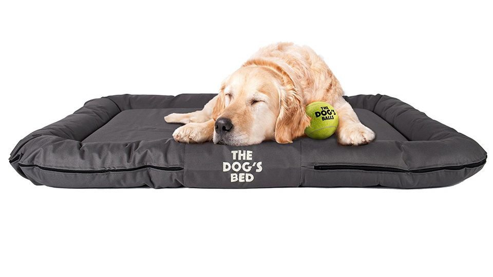 Top 10 Best Waterproof Dog Beds Reviews in 2021