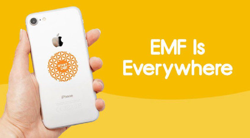 smart dot review