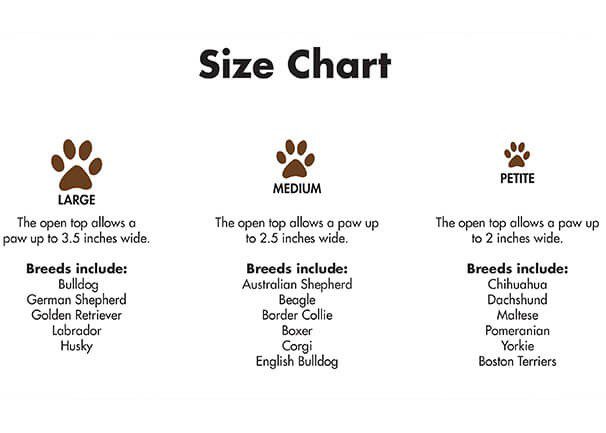 Dog Feet Size Chart