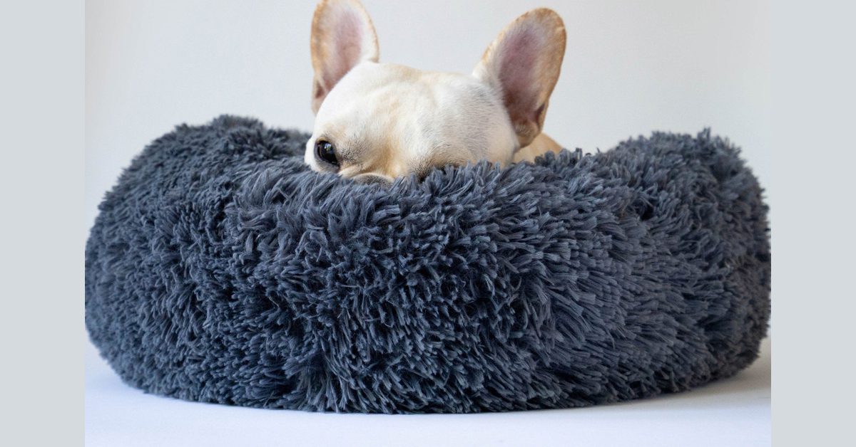 Fluffy Dog Bed For Small Dogs