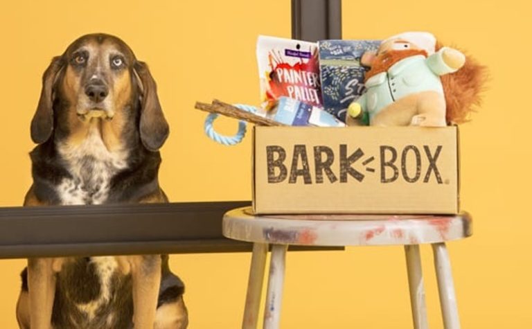 What’s in a BarkBox?