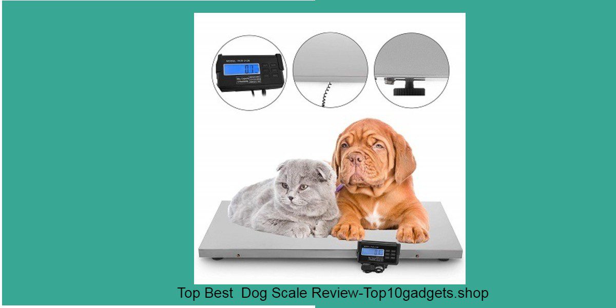 Dog Scale Review