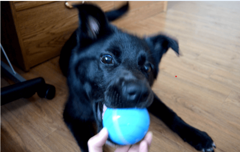 Features Of BarxBuddy Busy Ball