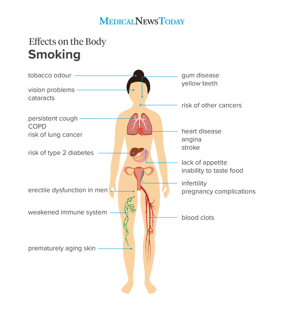How Does Smoking Affect the Body 1