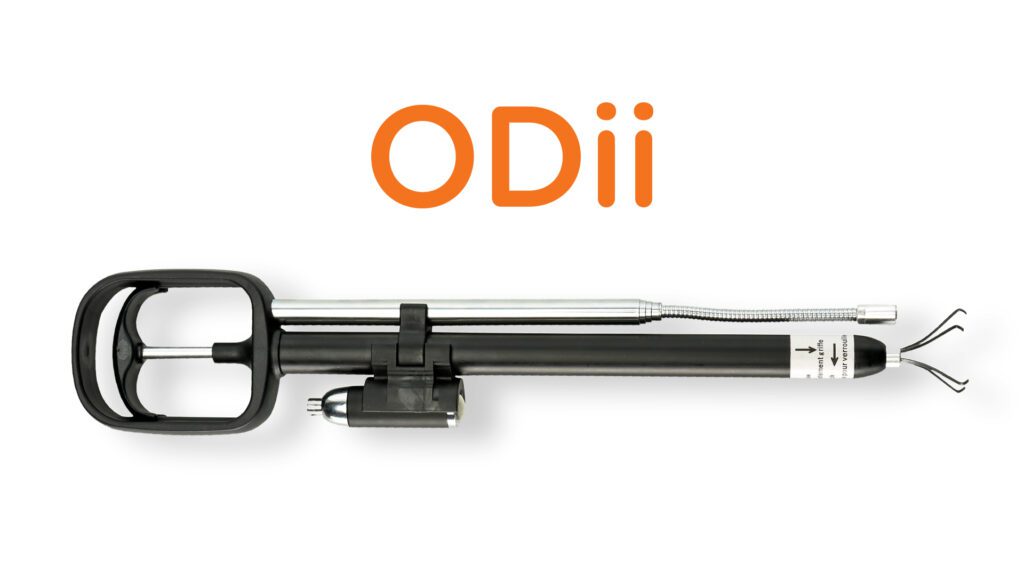 Odii