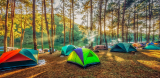 Top 10 Best 12-Person Tents – Your Ultimate Guide